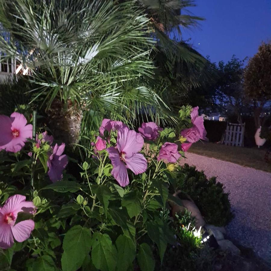 Bnb Fano Collina. La Pace Di Una Vacanza Piagge Extérieur photo