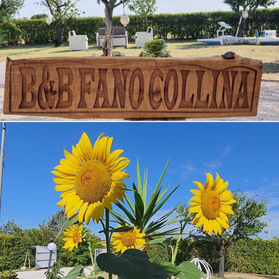 Bnb Fano Collina. La Pace Di Una Vacanza Piagge Extérieur photo