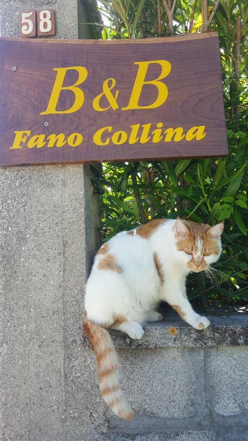 Bnb Fano Collina. La Pace Di Una Vacanza Piagge Extérieur photo