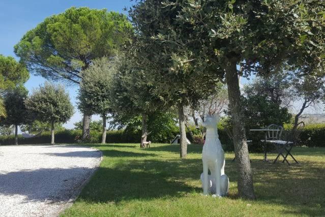 Bnb Fano Collina. La Pace Di Una Vacanza Piagge Extérieur photo