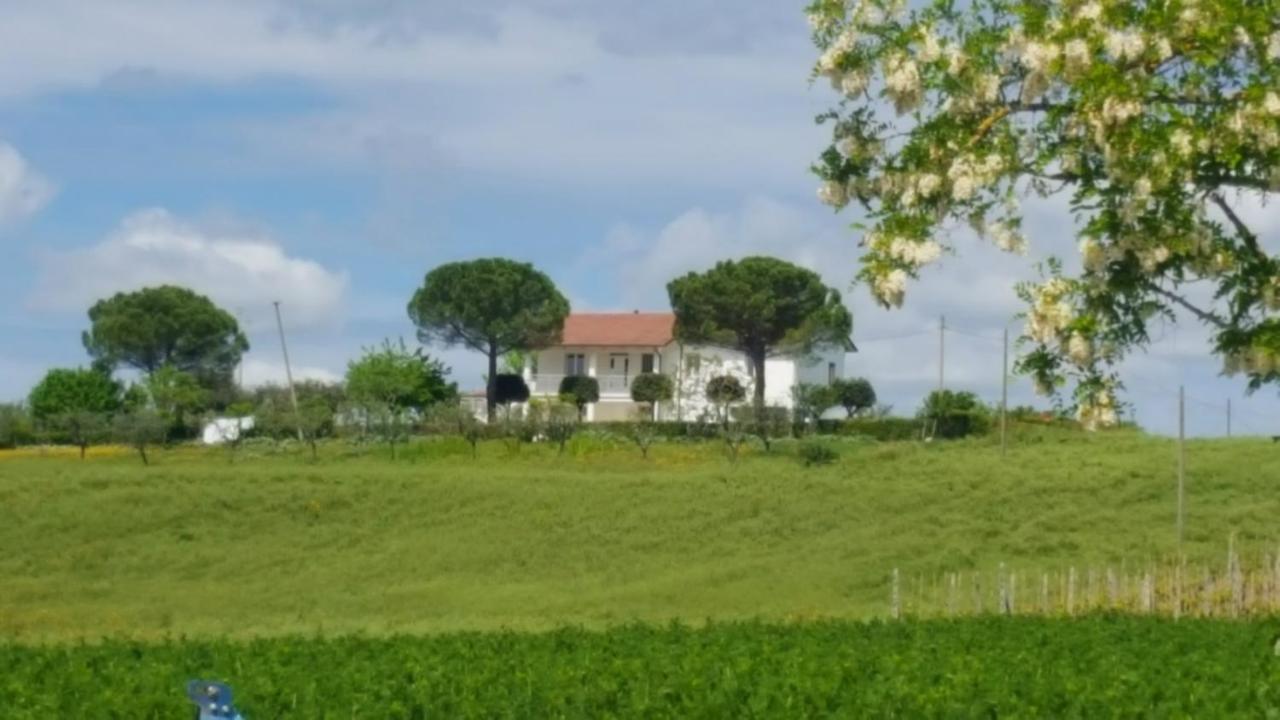 Bnb Fano Collina. La Pace Di Una Vacanza Piagge Extérieur photo
