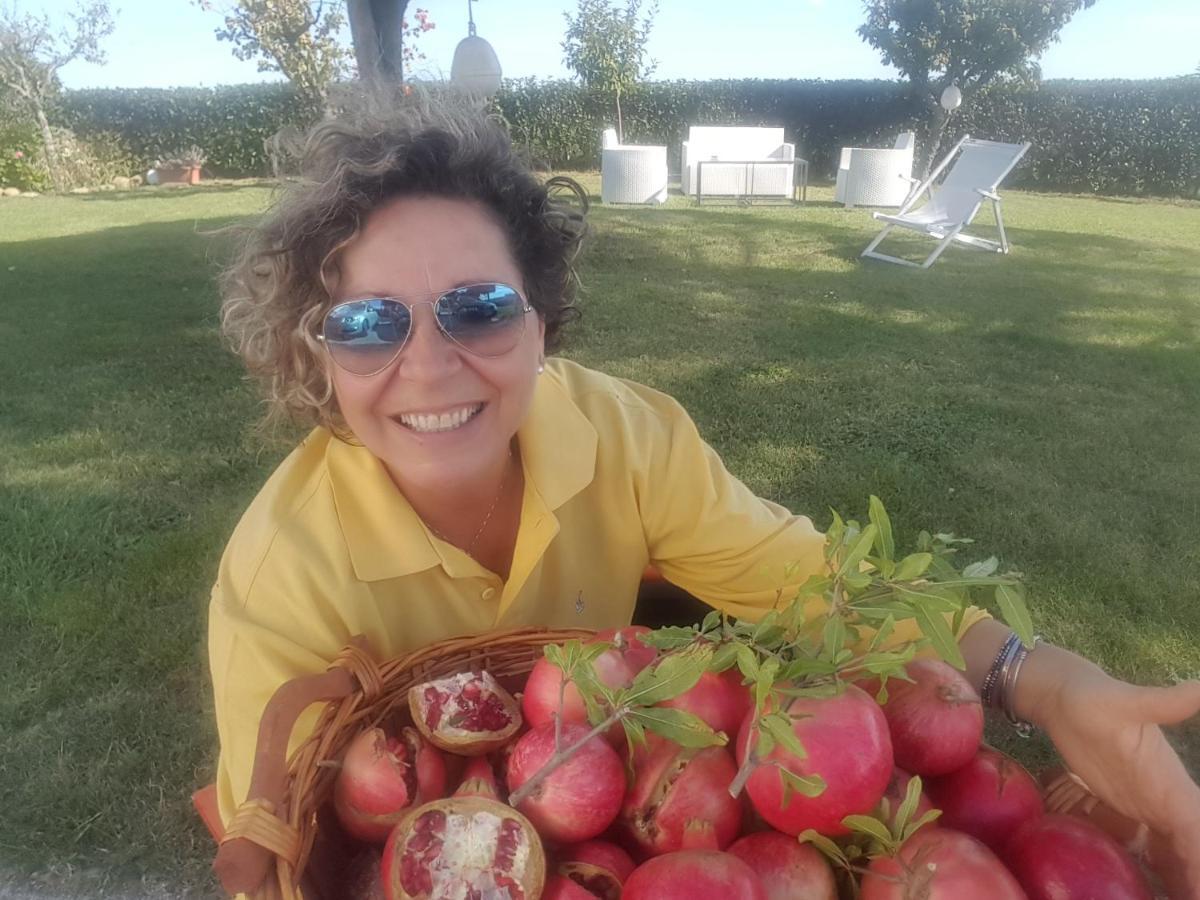 Bnb Fano Collina. La Pace Di Una Vacanza Piagge Extérieur photo